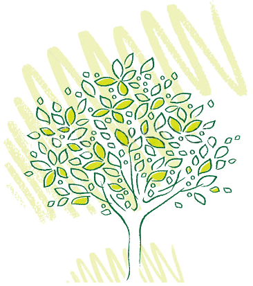 Sustentabilidade